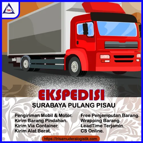 Ekspedisi Surabaya Pulang Pisau murah